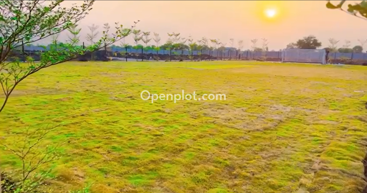 Plot for Sale in Nandikandi,Sangareddy